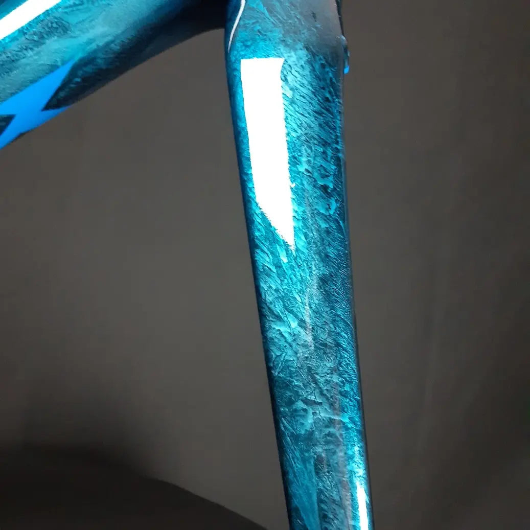 Personalized bicycle paint By Jamin Design